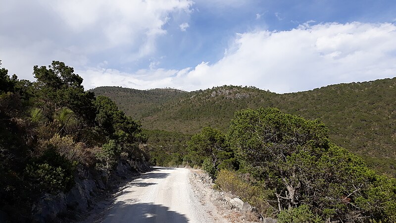 File:Sierra Tamaulipeca.jpg