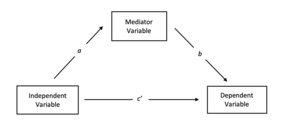 Simple mediation model. The independent variable causes the mediator variable; the mediator variable causes the dependent variable. Simple Mediation Model.png