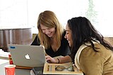 Editors collaborate during the Cornell University 2017 Art + Feminism Wikipedia edit-a-thon. Herbert F. Johnson Museum of Art, March 11, 2017.