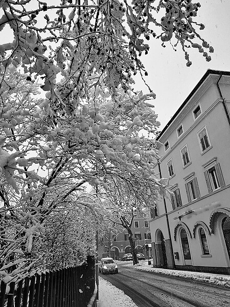 File:Sinigo under the snow in South Tyrol Italy Photo by Giovanni Ussi (1).jpg