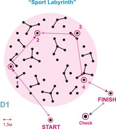 Спортивное ориентирование карта лабиринта