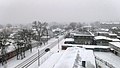 Snow in Taganrog DSC00177 1920.jpg