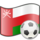 Icône de footballeurs omanais
