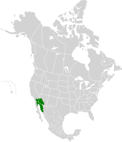 מיקום המדבר במפת אמריקה הצפונית