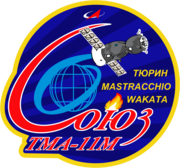 Sojoez-TMA-11M-Mission-Patch.png
