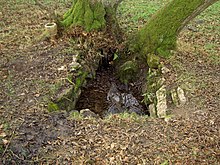 St Tecla's well. Its use was discouraged by the church after the 19th century