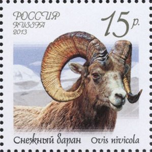 Stamp of Russia 2013 No 1670 Ovis nivicola.jpg