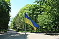 Staryi-Park-15057110.jpg