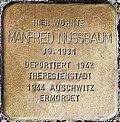 Stolperstein Nussbaum, Manfred.jpg