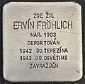 Stolperstein für Ervin Fröhlich.jpg