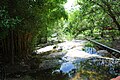 Stream running through the campus