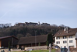 Blick von Sünikon auf Regensberg