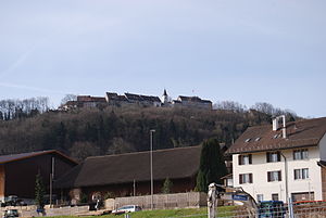 Steinmaur