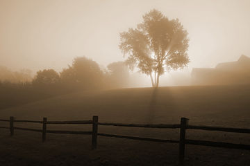 Sunrise in the fog 7723.jpg
