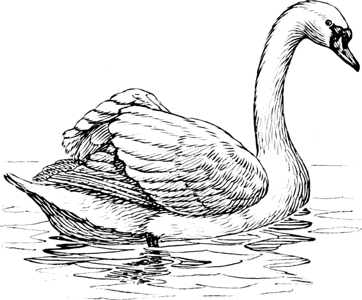 File:Swan (PSF).png