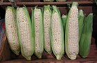 Sweet corn (white).jpg