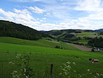 Landschaftsschutzgebiet Talflanken der Kleinen Henne