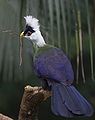 At Brookfield Zoo, USA