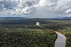 Luftfotografi over Amazonasregnskogen.