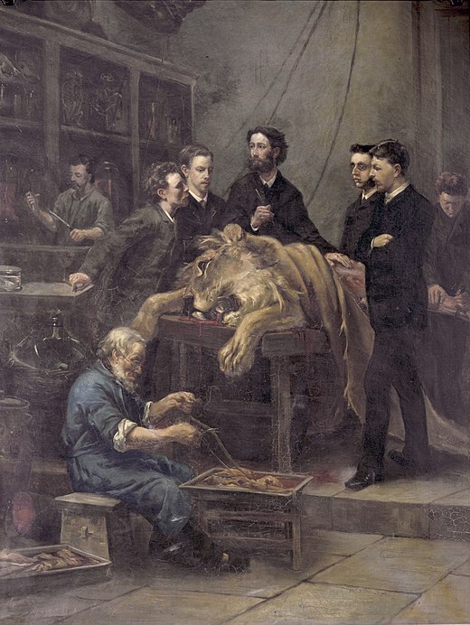 De anatomische les van Max Weber (Louis Stracké, 1886)