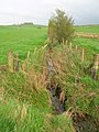 The Dalrympleston Burn.JPG