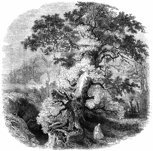 The Druid Grove, 1845