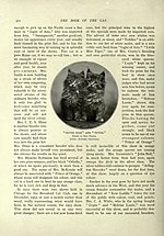 Thumbnail for File:The book of the cat BHL23996620.jpg