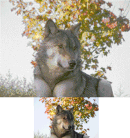 16-color (top) and 256-color (bottom) progressive images from a 1980s VGA card. Dithering is used to overcome color limitations.