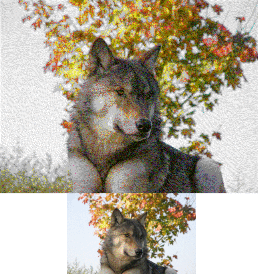 Examples of VGA images in 640×480 with 16 colors and 320×200 with 256 colors (bottom). Dithering is used to mask color limitations.