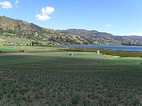 Llanos de Alarcón