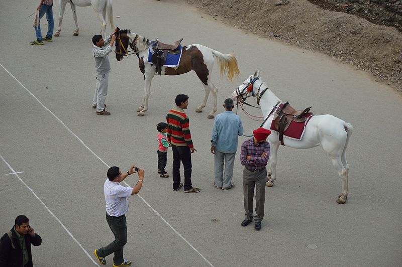 File:Tourists - Ridge - Shimla 2014-05-07 1010.JPG