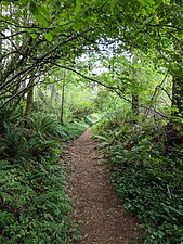 A trail running through Joemma Beach State Park.