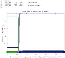 transmembrane domain Transmembrane prediction.JPG