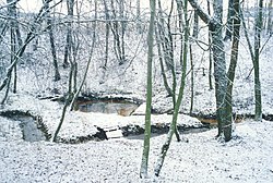 Studánka u Truikinů, jejíž vody se vzápětí vlévají do Guntina