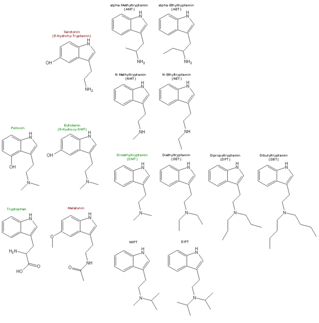 Körpereigene, pflanzliche und synthetische Tryptamine