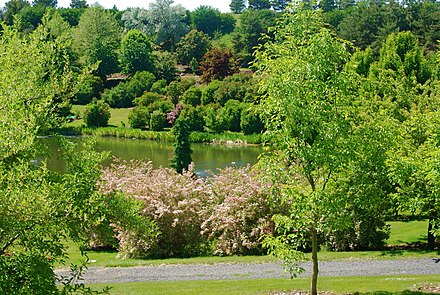 View of Arboretum and Botanical Garden trail and pond