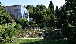 Az Ungvári botanikus kert