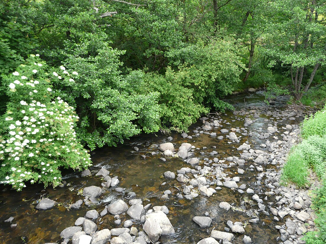 Véronne (rivière du Cantal)