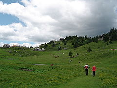 Velika planina.JPG