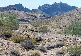 Pohled na poušť Trigo Mountains, AZ.jpg