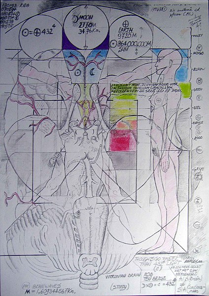 File:Vitruvian Brain(Study).jpg