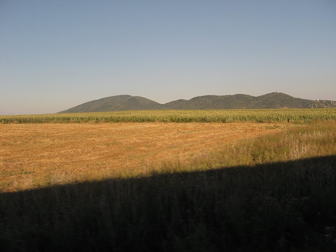 Vršačke Planine