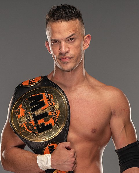 File:WMC AEWSTARKS-CHAMP.jpg