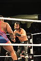 WWE Smackdown IMG 8546 (15353345441).jpg
