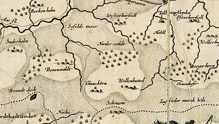 Wald bei Welmbüttel 1652