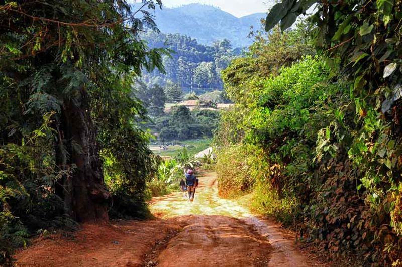 File:Walking in the Usumbara Mtns (8550045035).jpg