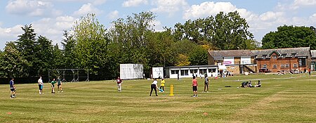 Watford Town Cricket