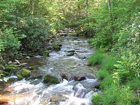 Illustratives Bild des Artikels White Deer Hole Creek