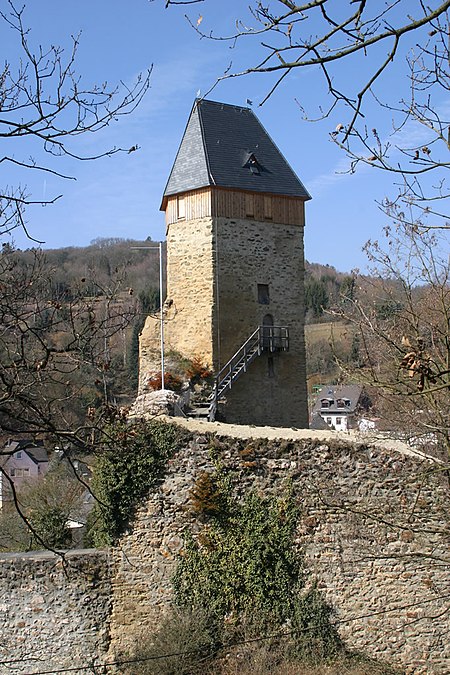 Wiesbaden burgruine frauenstein 1