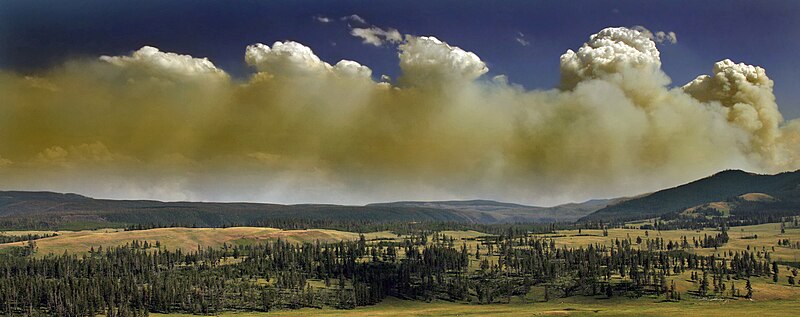 Wildfire in Yellowstone Natinal Park produces Pyrocumulus clouds-edit2.jpg